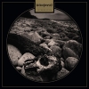 USURPRESS - Interregnum (2018) (LP)
