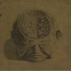 FARSOT - Insects (Limited edition DIGI CD) (2011)