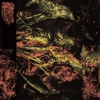 HISSING - Permanent Destitution (Limited edition LP) (2018)