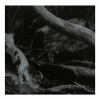 BARREN CANYON - World Of Wounds (2018) (DIGI)