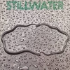 STILLWATER - Stillwater+2 (1977) (remastered