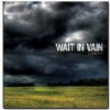 WAIT IN VAIN - Seasons (2008)